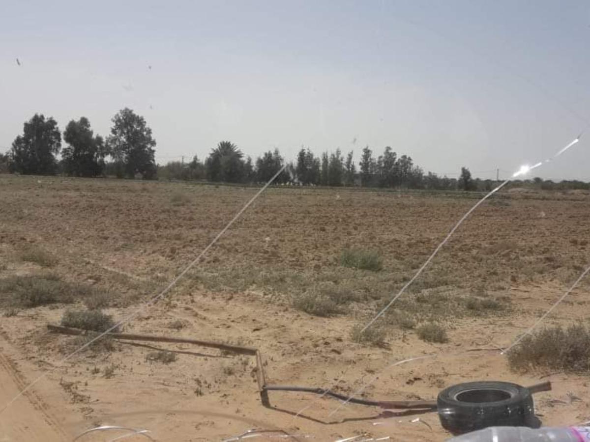 Vente Terrain agricole Sidi Okba à Biskra