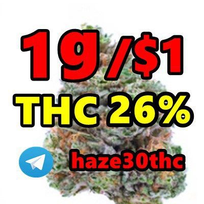  Autoflower, Haze, Kannabia, Slurricane, Illemonati, AllBud,