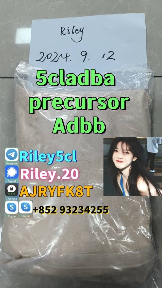 5cladba precursor Adbb Favorable price Yellow powder