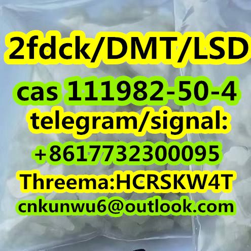 high quality 2f/2fdck cas 111982-50-4  in stock