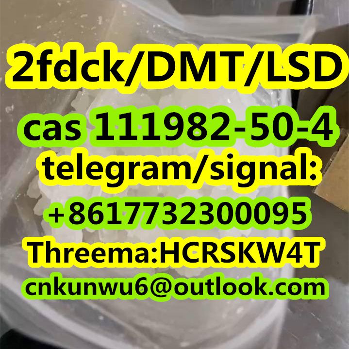 high quality 2f/2fdck cas 111982-50-4  in stock