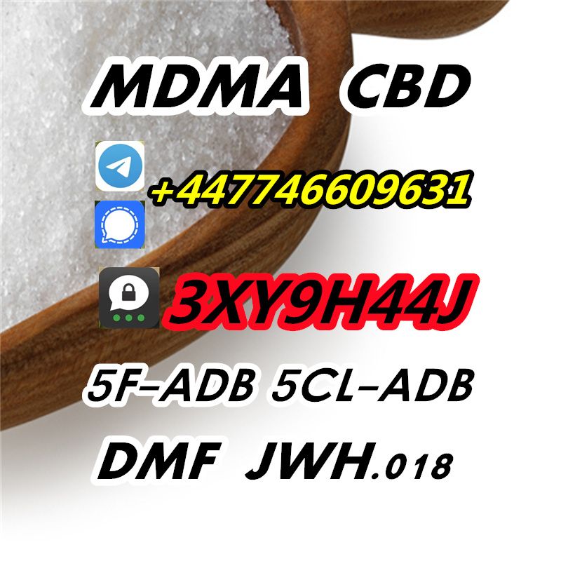 CAS 365-26-4 Oxilofrine 5-C-L-ADB 5F-ADB-A MD-MA 5F-MDMB-2201 CBD GBL