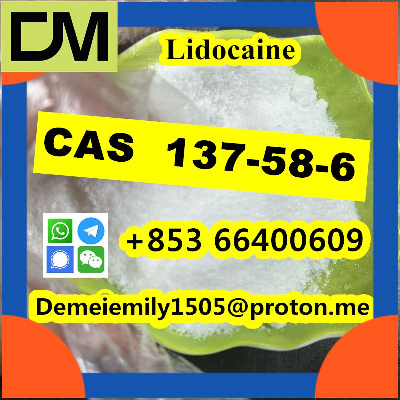 CAS 137-58-6 Lidocaine China factory sales low price high purity good quality hot selling safe delivery fast delivery