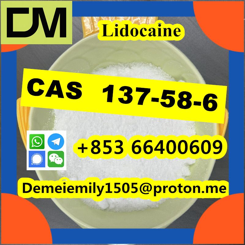 CAS 137-58-6 Lidocaine China factory sales low price high purity good quality hot selling safe delivery fast delivery