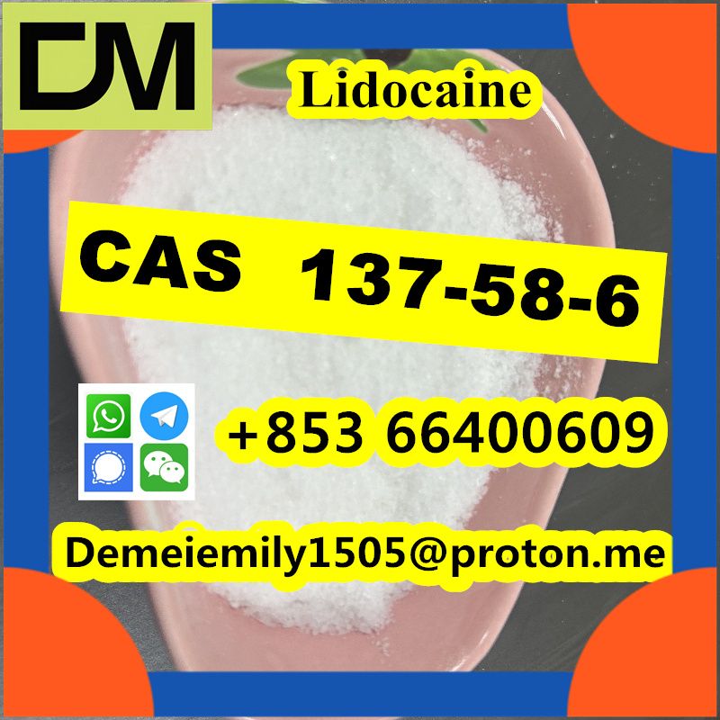 CAS 137-58-6 Lidocaine China factory sales low price high purity good quality hot selling safe delivery fast delivery