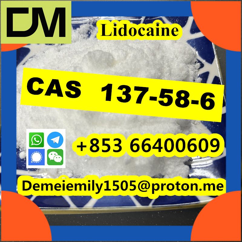 CAS 137-58-6 Lidocaine China factory sales low price high purity good quality hot selling safe delivery fast delivery