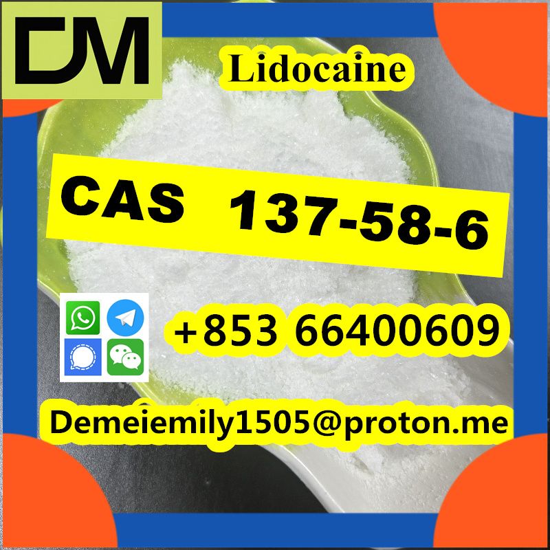 CAS 137-58-6 Lidocaine China factory sales low price high purity good quality hot selling safe delivery fast delivery