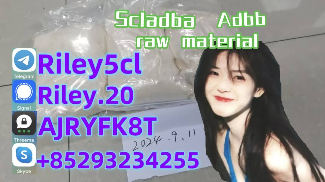 5cladb 5cl raw materials 5cladba precursor in stock