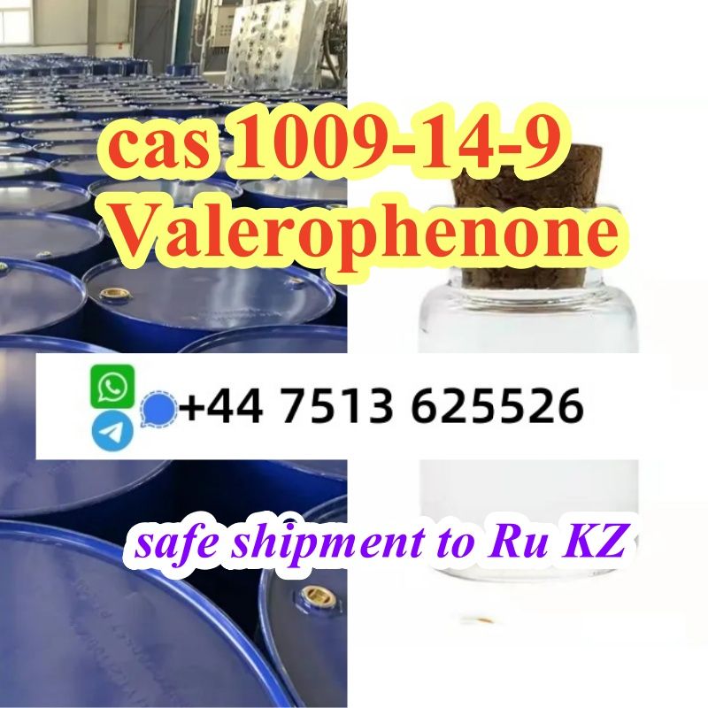 cas 1009-14-9 Valerophenone supplier factory direct supply