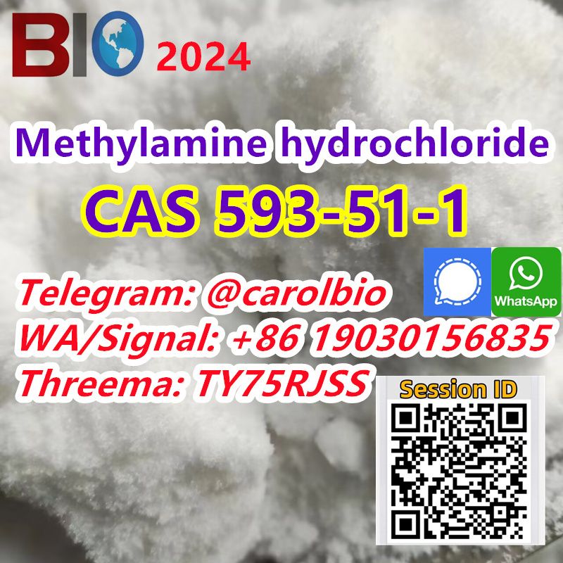 CAS 593-51-1 Methylamine hydrochloride +8619030156835