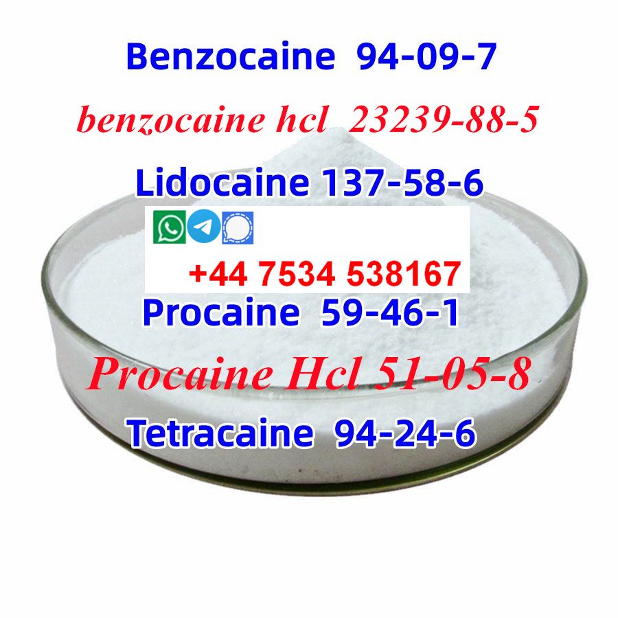  benzocaine hcl CAS23239-88-5 with high quality on sale 