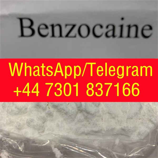 Procaine Phenacetin Tetracaine Benzocaine Lidocaine