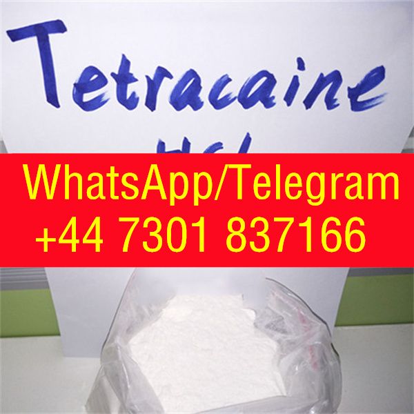 Procaine Phenacetin Tetracaine Benzocaine Lidocaine