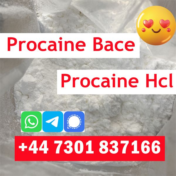 Procaine Phenacetin Tetracaine Benzocaine Lidocaine