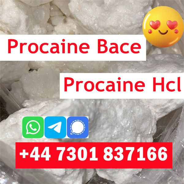 Procaine Phenacetin Tetracaine Benzocaine Lidocaine