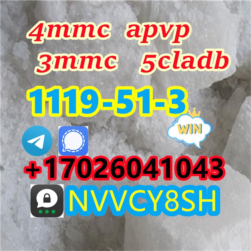 Selling strong powder CAS 23076-35-9 Xylazine  5F-A-DB H-U-210 B-MDP DI-BU A-P-P-P