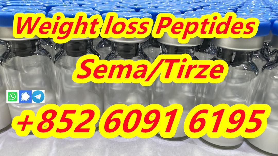 Tirzepatide Peptides Lyophilized Powder CAS 2023788-19-2