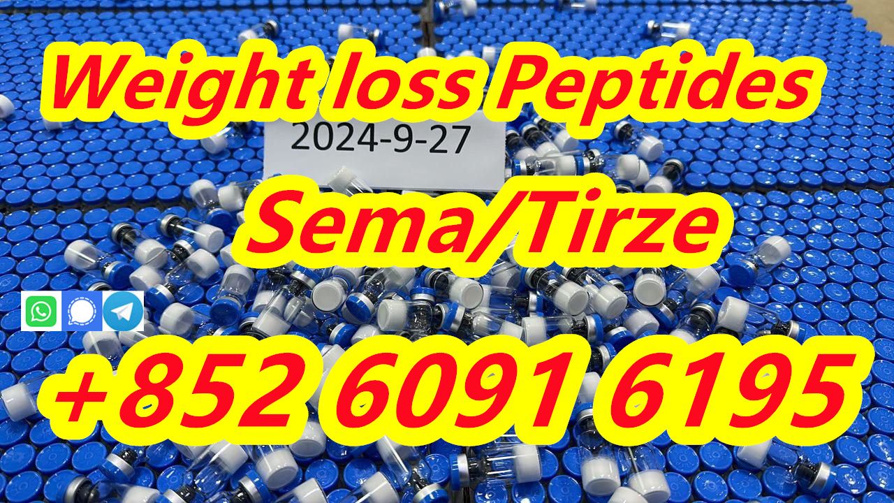 Tirzepatide Peptides Lyophilized Powder CAS 2023788-19-2