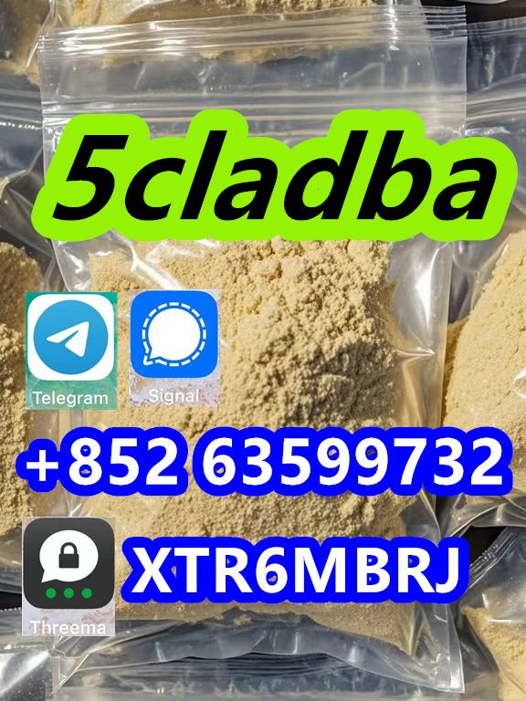 5CL-ADB supplier 5cladba 5cladb vendor on sale