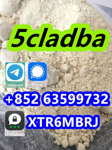 5CL-ADB supplier 5cladba 5cladb vendor on sale