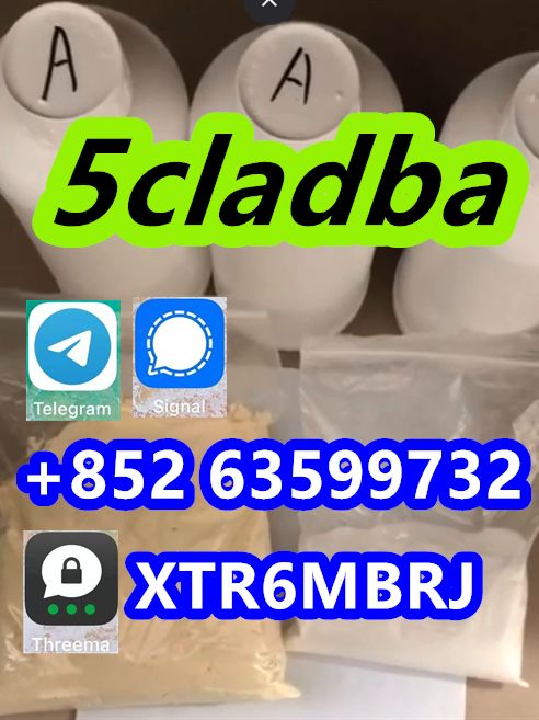 5CL-ADB supplier 5cladba 5cladb vendor on sale