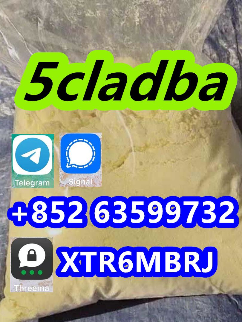 5CL-ADB supplier 5cladba 5cladb vendor on sale now! CAS 2504100-70-1