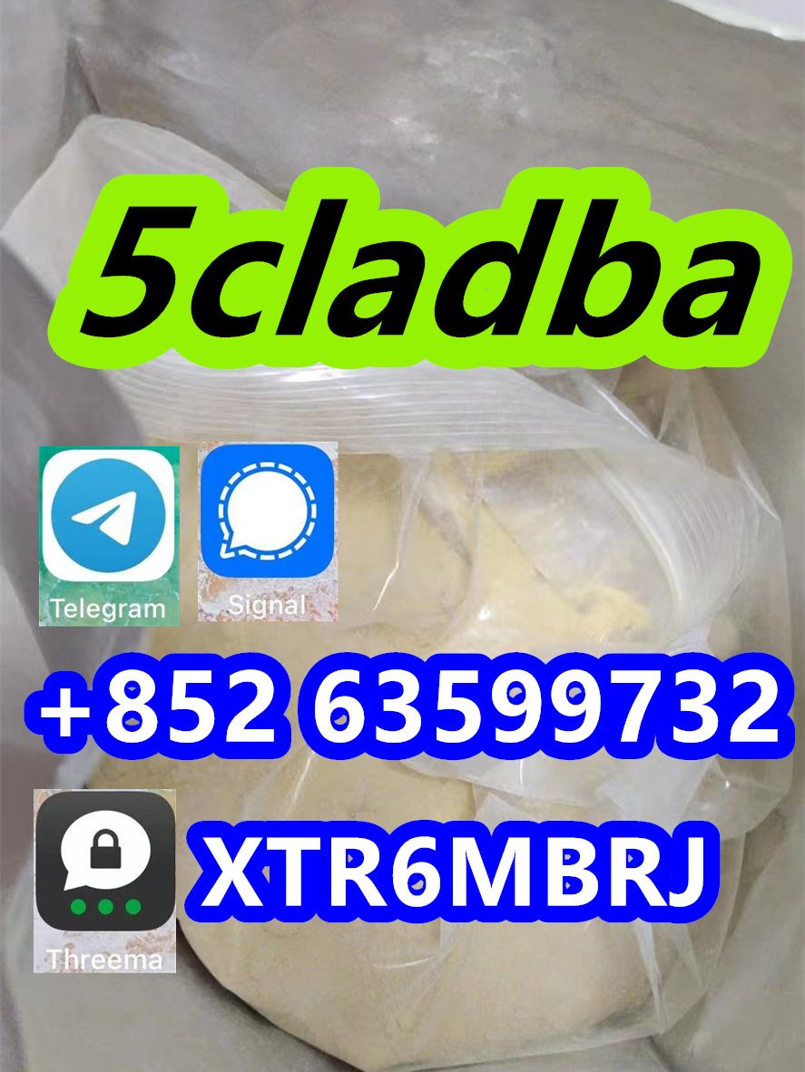 Buy 5cladba online ordering Best price yellow powder 5cladba 5cl Raw Chemical Materials