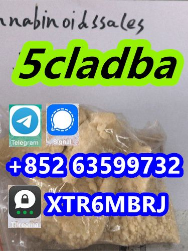 5CL-ADB supplier 5cladba 5cladb vendor on sale now! CAS 2504100-70-1