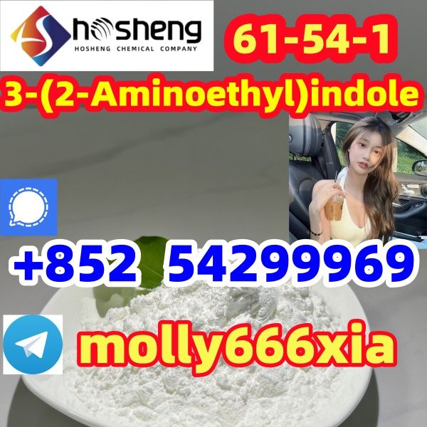 61-54-1 	3-(2-Aminoethyl)indole