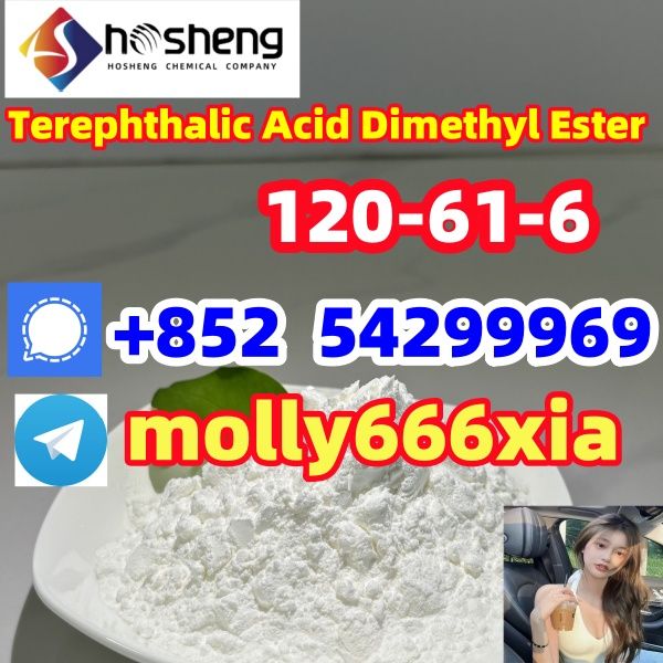 120-61-6	Terephthalic Acid Dimethyl Ester