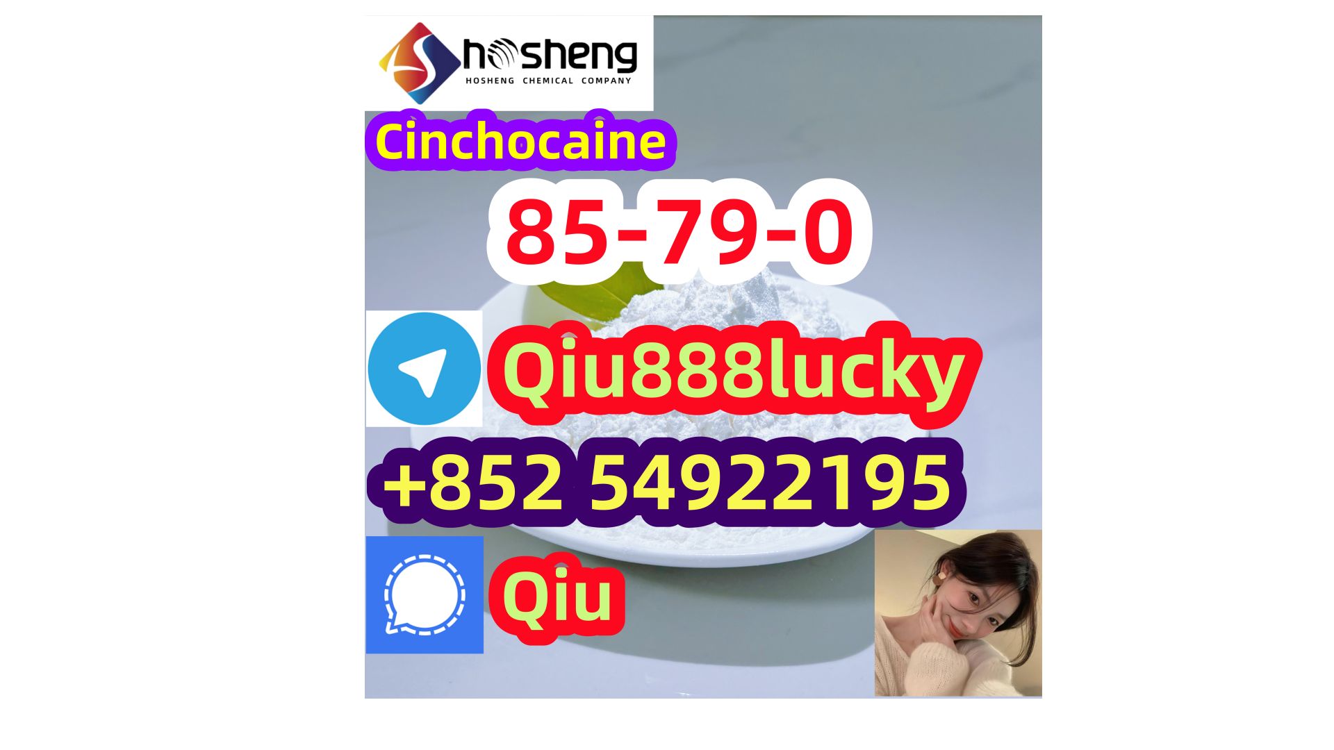 85-79-0 Cinchocaine