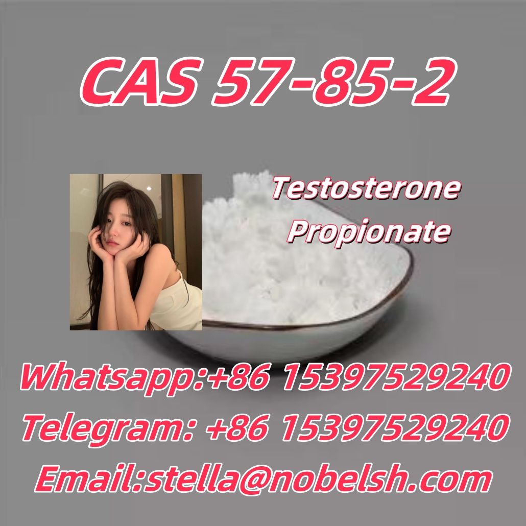 CAS 57-85-2  Testosterone Propionate