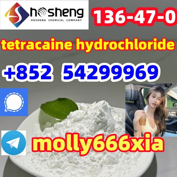 	136-47-0	tetracaine hydrochloride