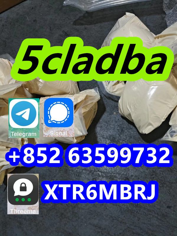 5CL-ADB supplier 5cladba 5cladb vendor on sale