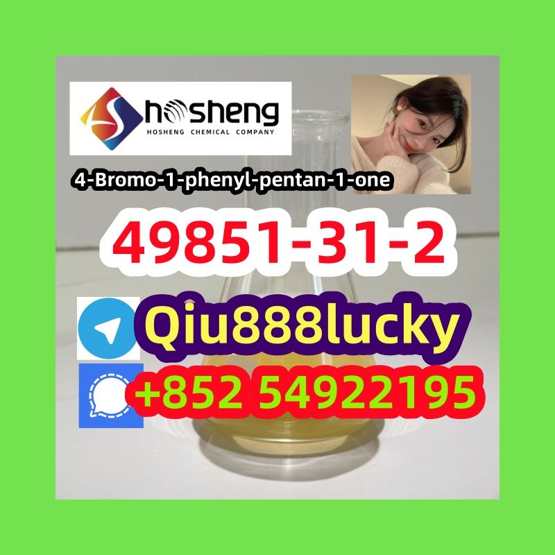 49851-31-2 4-Bromo-1-phenyl-pentan-1-one