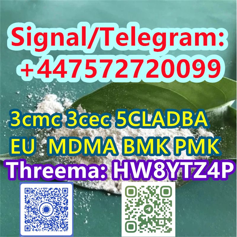 Signal/Telegram: +447572720099To win a high admiration  