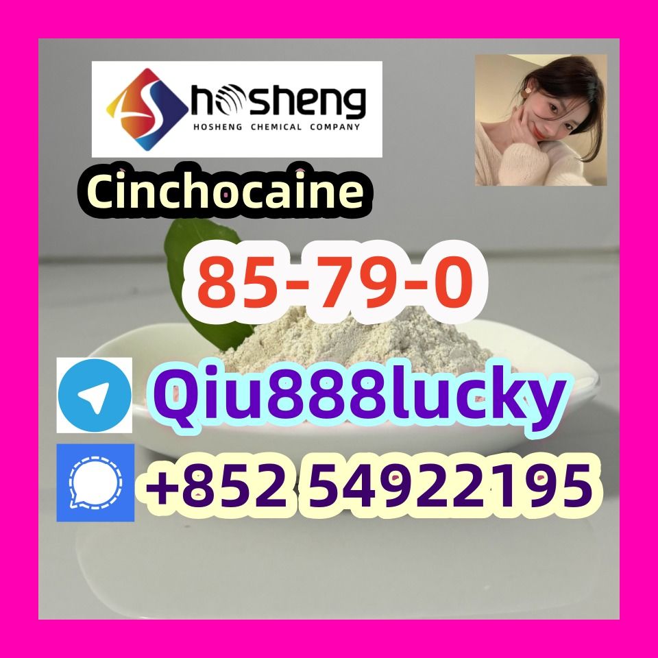 85-79-0 Cinchocaine