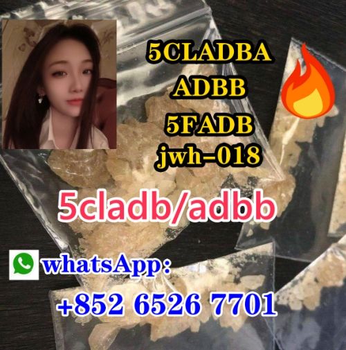  5F-ADB ADBB 5cladb precursor   4FADB 6Cladba A-PVP 5cl rwa materials  K2 MDMA Shipping 