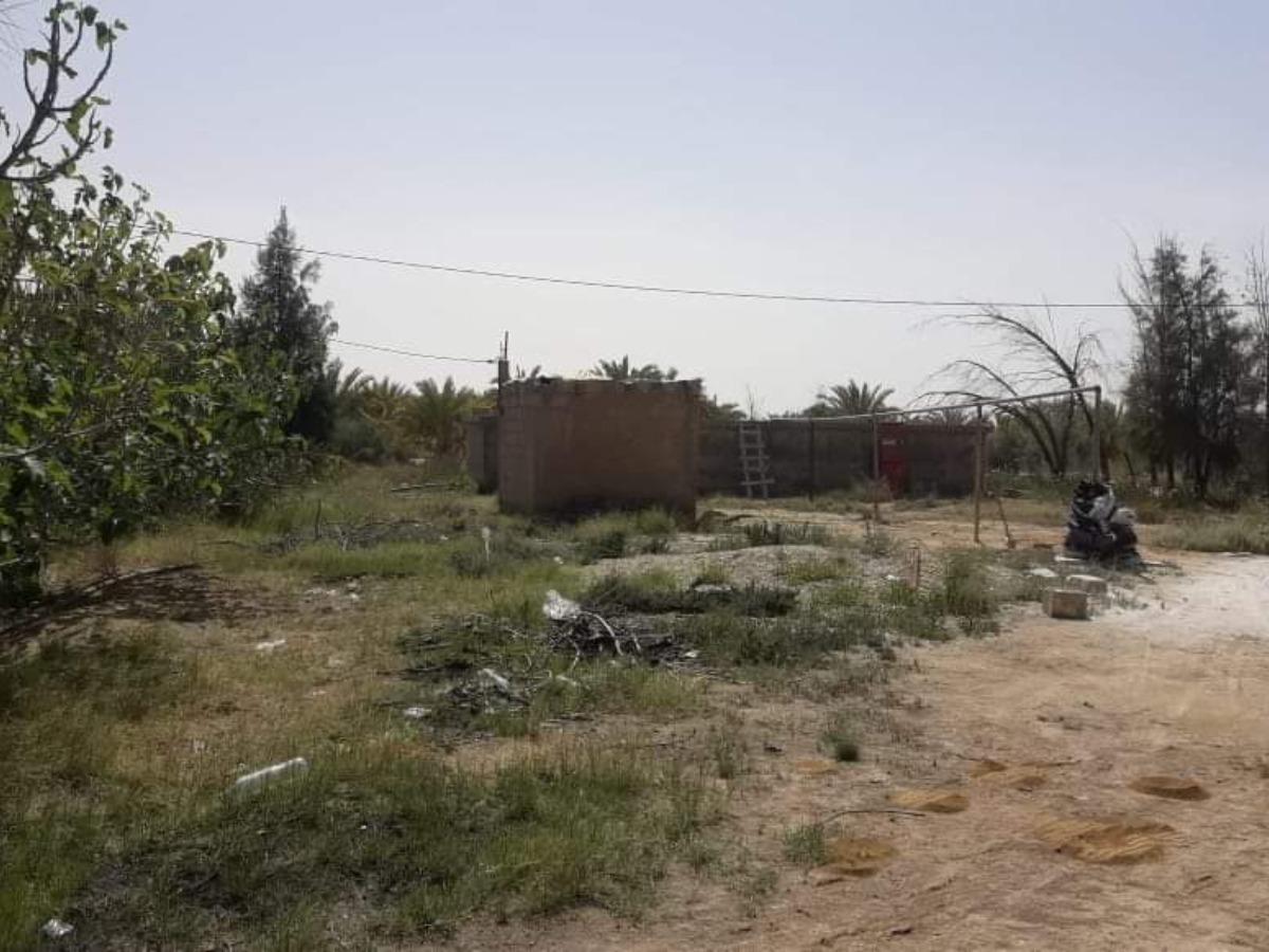 Vente Terrain agricole Sidi Okba à Biskra