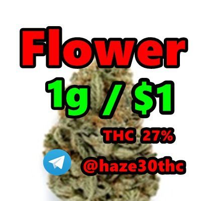  Indica, Sativa, Jet Fuel Gelato, White Widow, Zkittlez, Purple Runts,