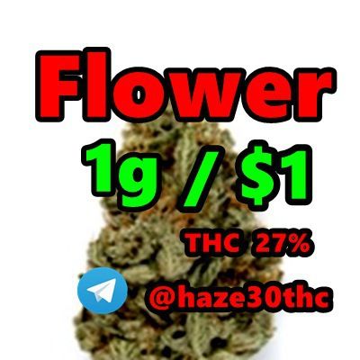  Fleurs de cannabis, Cannabisblüten, Cannabis flowers,