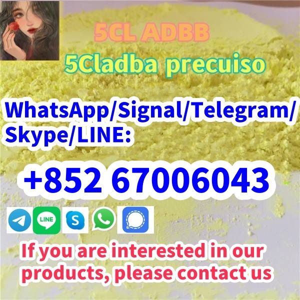 Buy 5cladb, Jwh-018, 5cladba, 5cl, Adbb, 5cl-adb +852 61374953