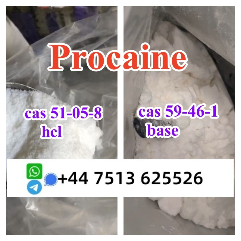 procaine base cas 59-46-1 procaine hcl cas 51-05-8 ship to nl pl eu