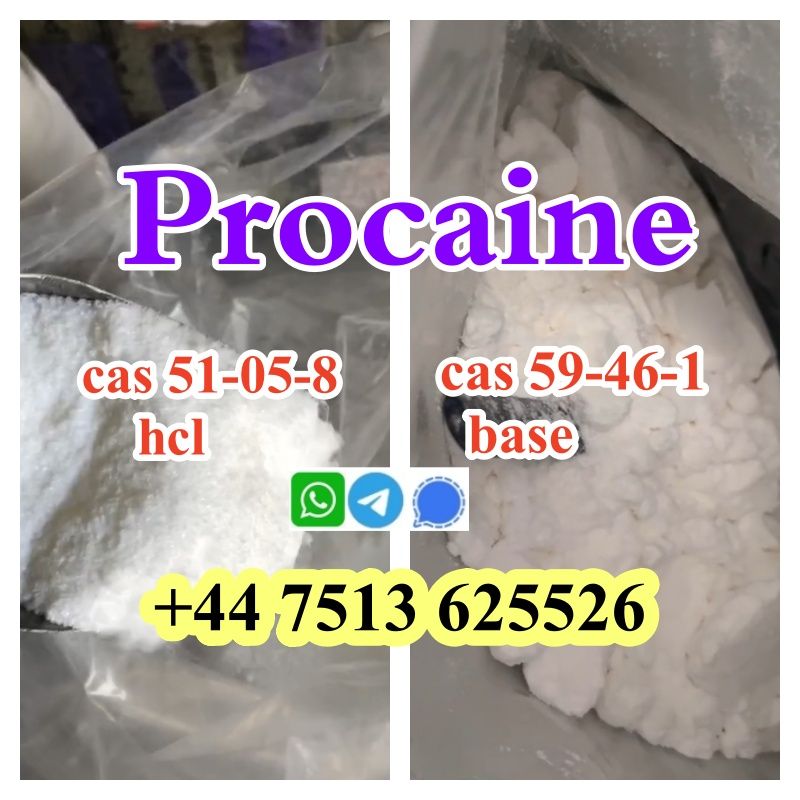 procaine base cas 59-46-1 procaine hcl cas 51-05-8 ship to nl pl eu