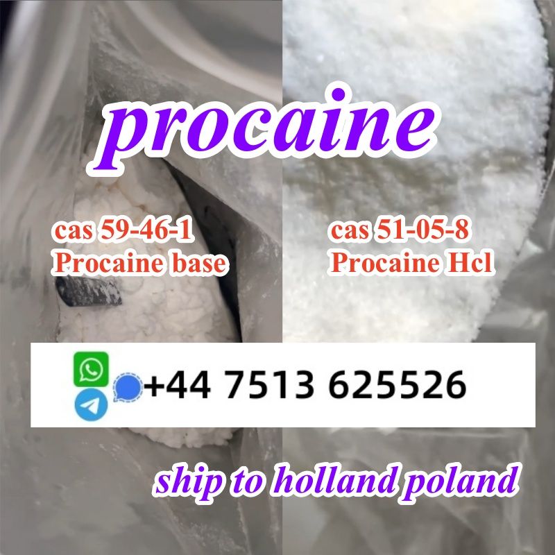 procaine base cas 59-46-1 procaine hcl cas 51-05-8 ship to nl pl eu