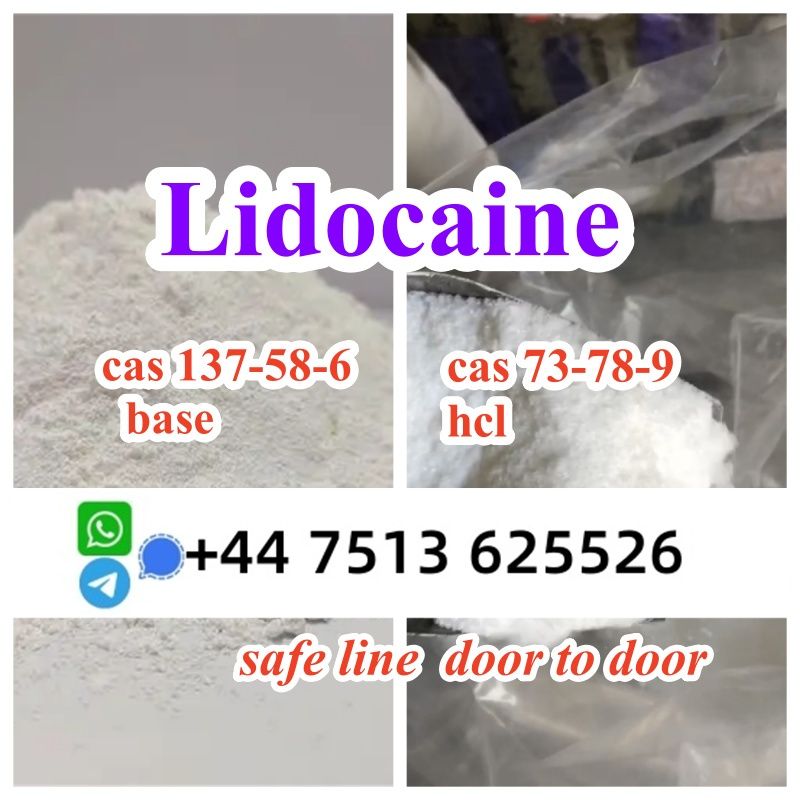 lidocaine hcl base cas 137-58-6 / cas 73-78-9 Lidocaine wholesale