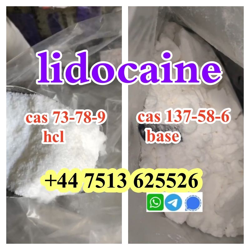 lidocaine hcl base cas 137-58-6 / cas 73-78-9 Lidocaine wholesale