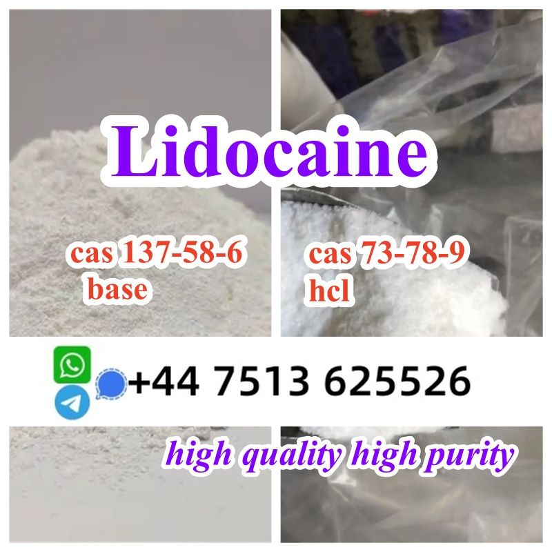 lidocaine hcl base cas 137-58-6 / cas 73-78-9 Lidocaine wholesale