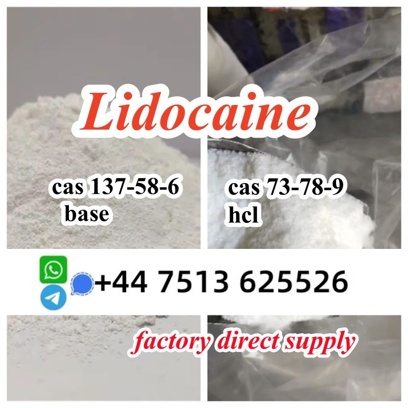 lidocaine hcl base cas 137-58-6 / cas 73-78-9 Lidocaine wholesale