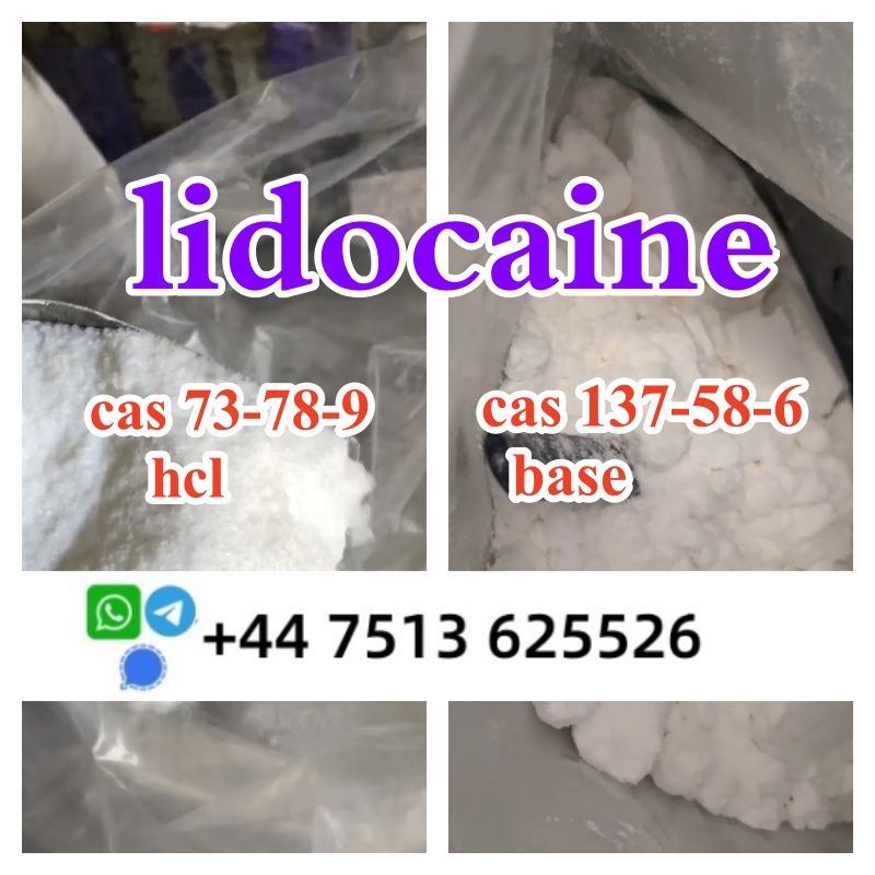 lidocaine hcl base cas 137-58-6 / cas 73-78-9 Lidocaine wholesale